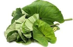 A bundle of kontomire leaves